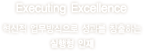Executing Excellence : 혁신적 업무방식으로 성과를 창출하는 실행형 인재